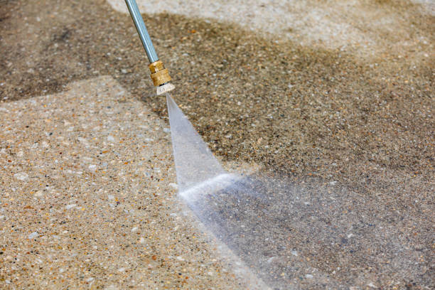 Best Driveway Pressure Washing  in Shawneetown, IL