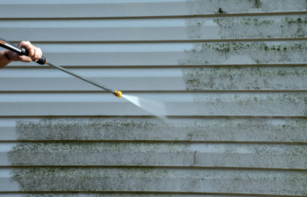 Best Gutter Cleaning  in Shawneetown, IL