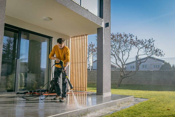 Best Fence Cleaning  in Shawneetown, IL